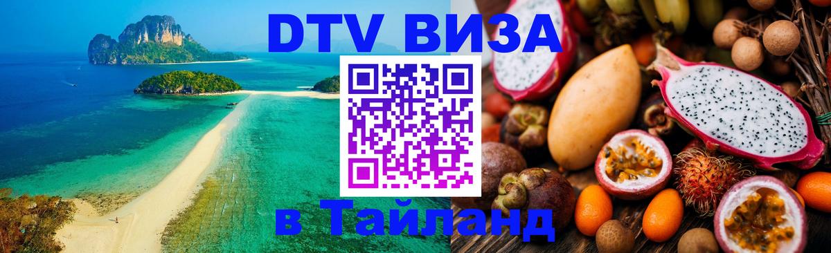 Оформление DTV визы под ключ: стоимость и тарифы, только загранпаспорт - 